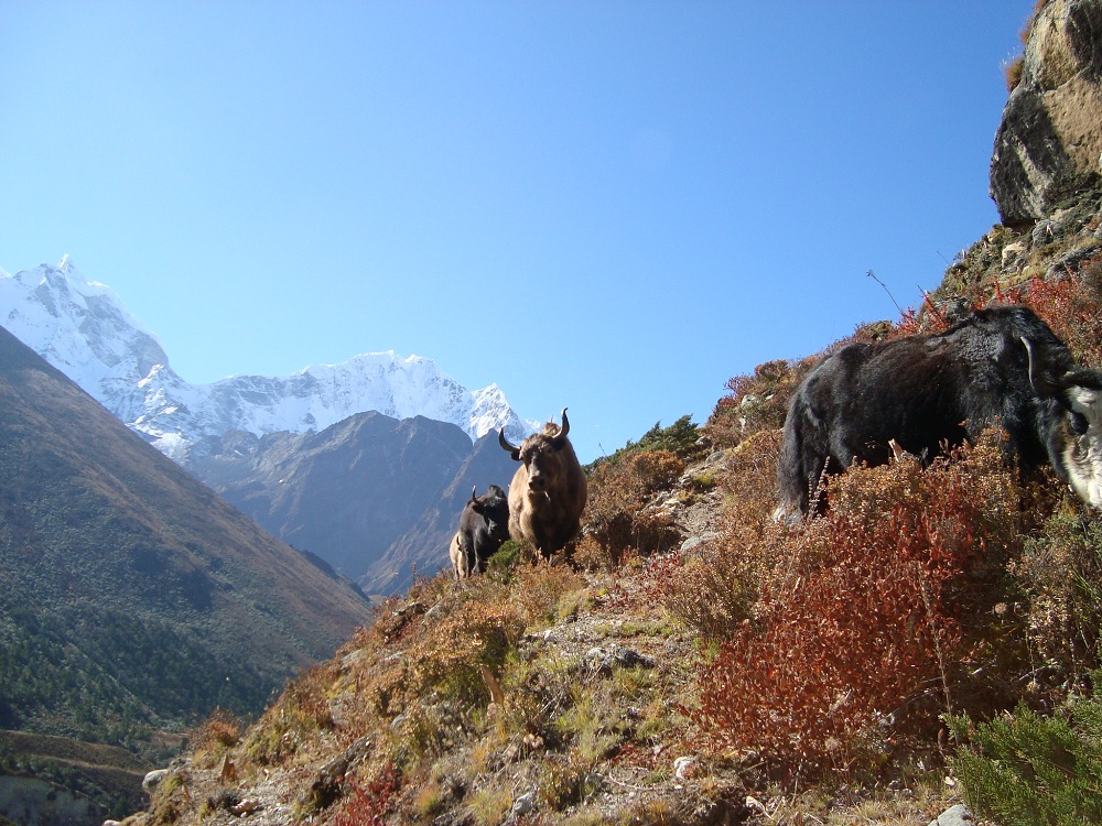18 Days- Classic Everest Base Camp Trek (without flight) - view 4