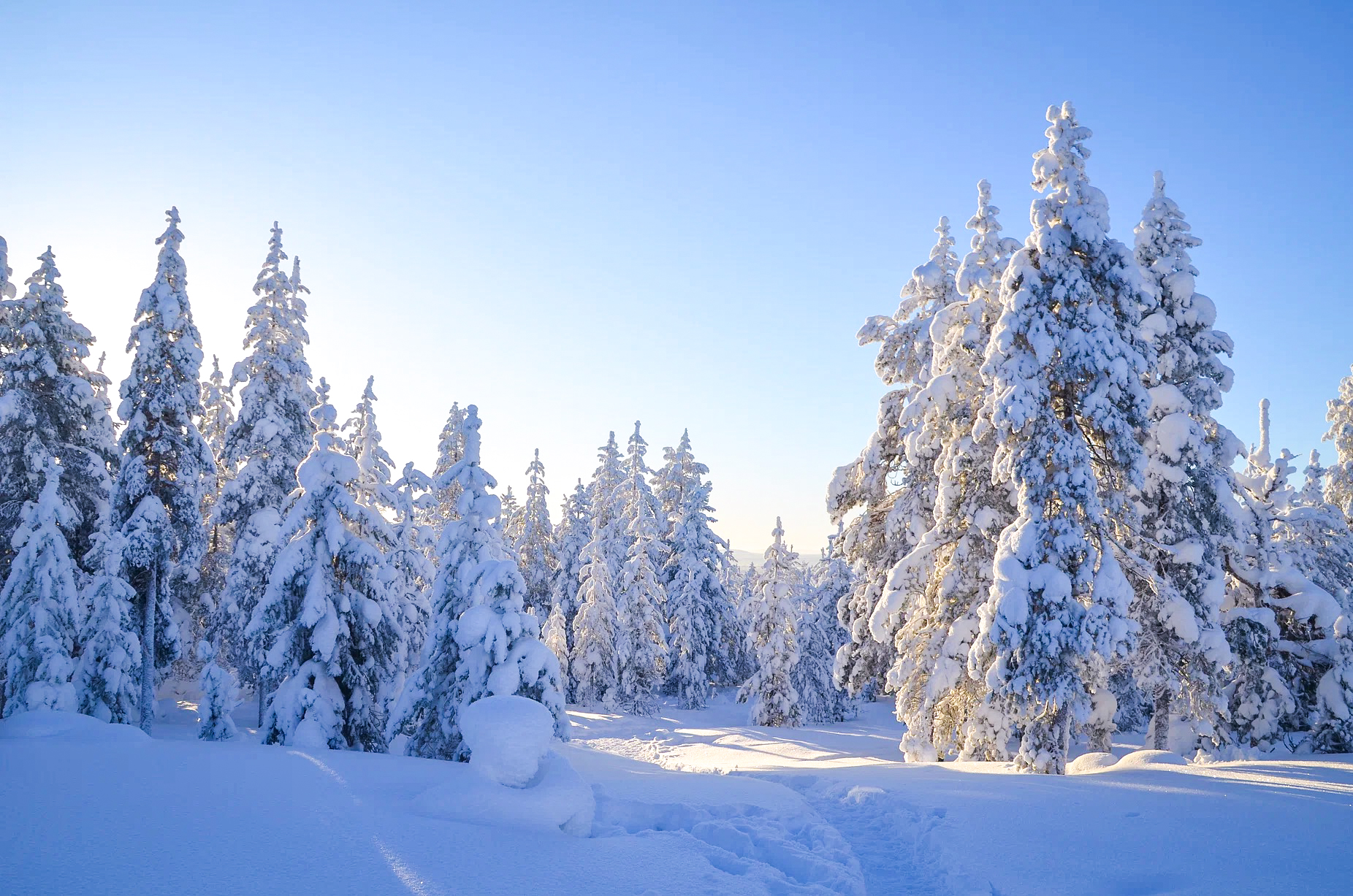 Wilderness Survival Tour - Winter - view 2