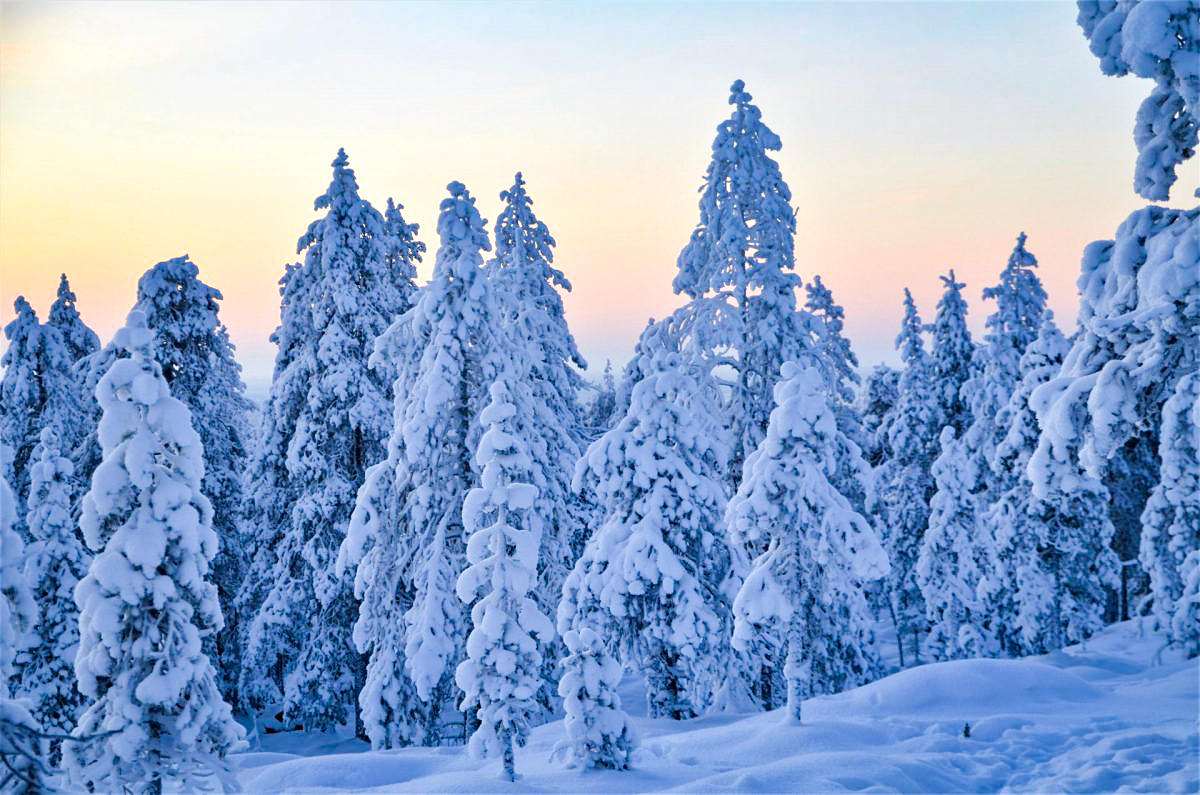 Wilderness Survival Tour - Winter - view 5