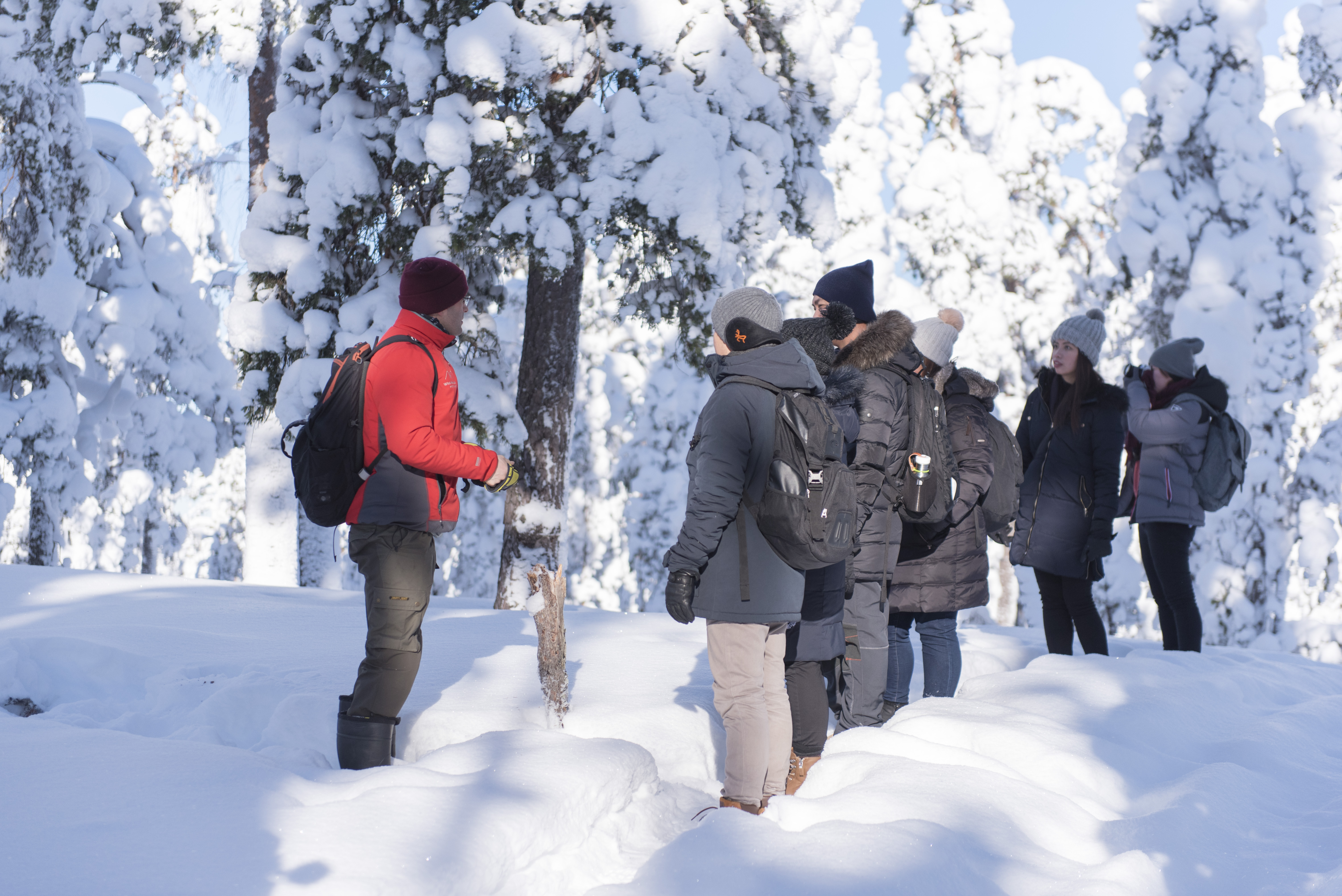 Wilderness Survival Tour - Winter - view 3