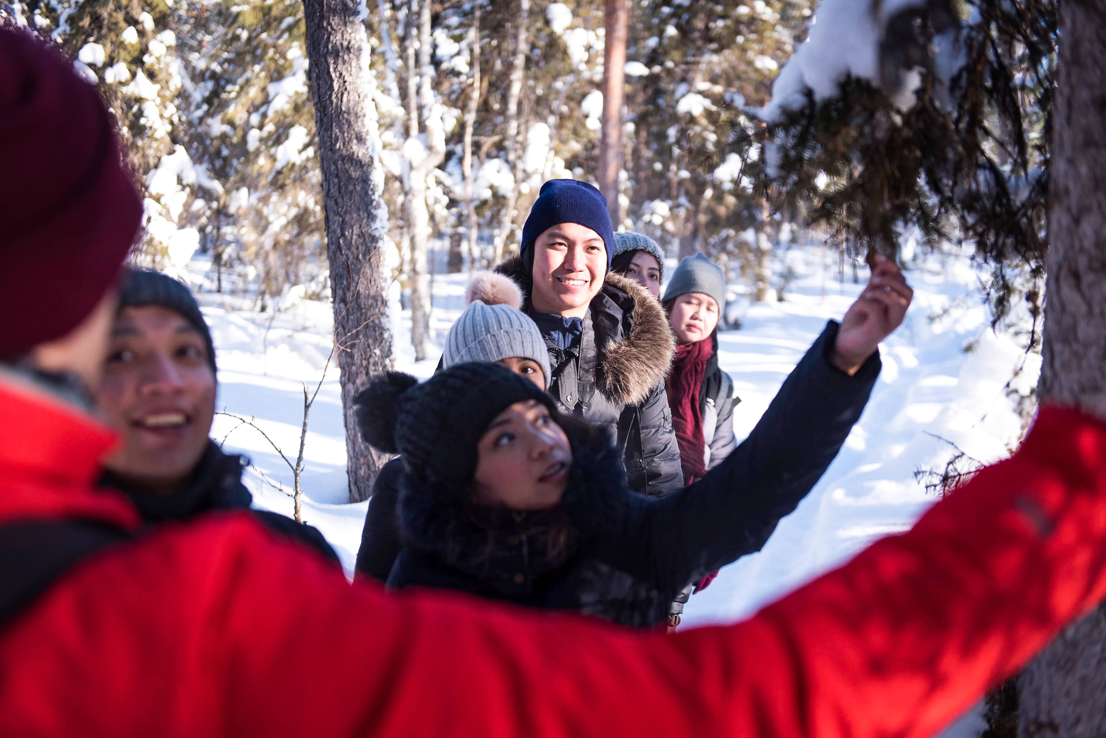 Wilderness Survival Tour - Winter - view 4