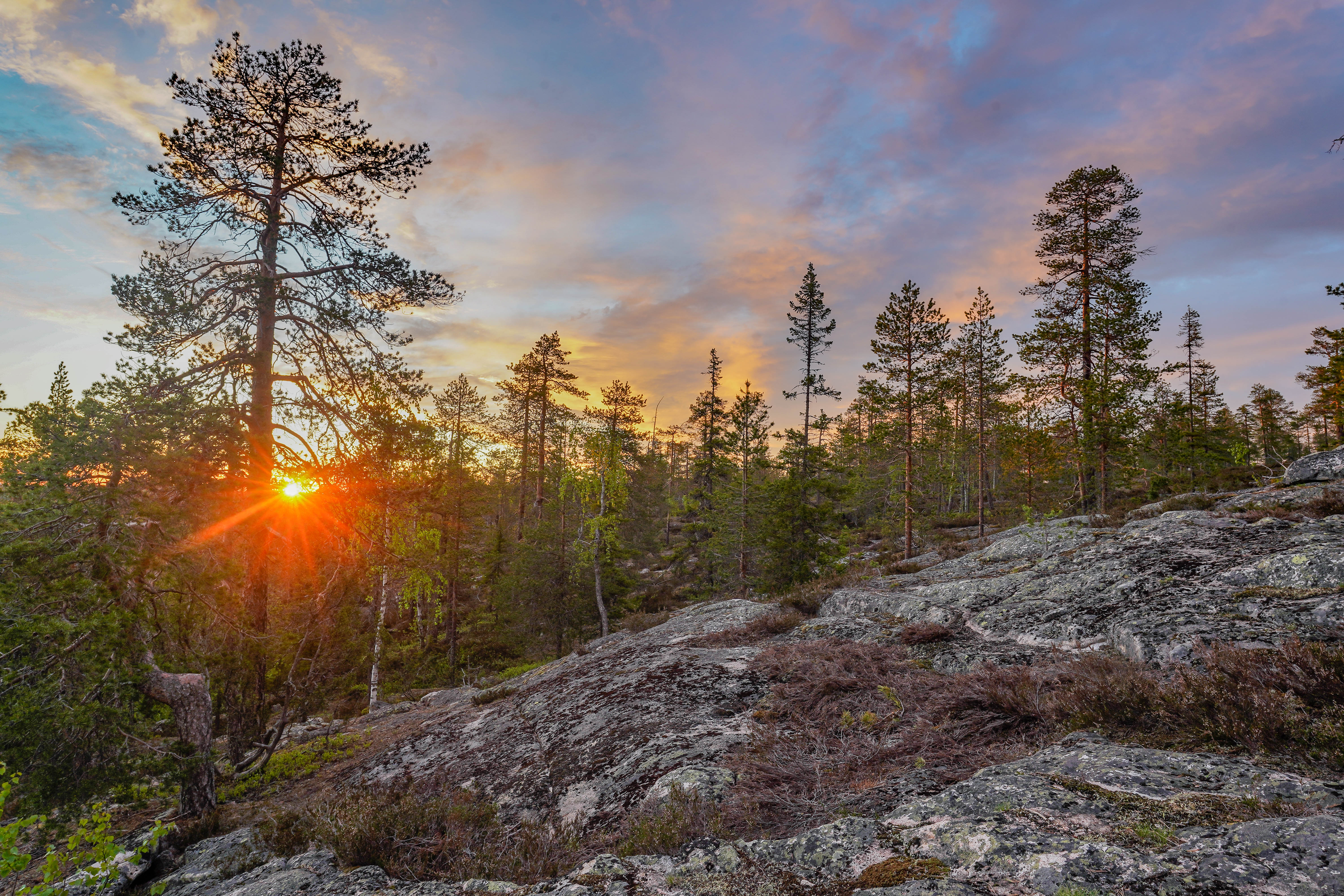 Wilderness Survival Tour - Summer & Autumn - view 4