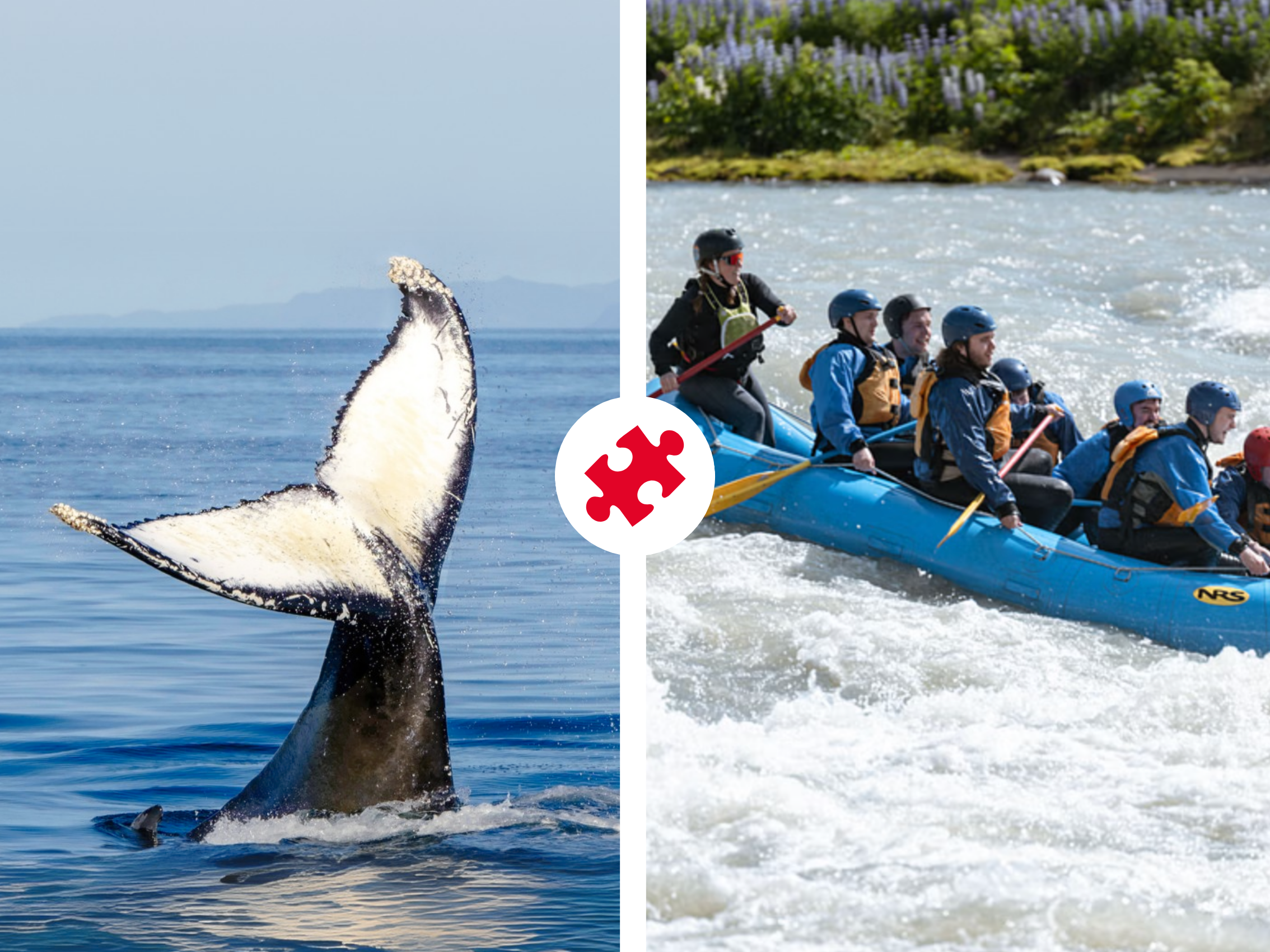 Whales & White Water Rafting - main view in Reykjavík