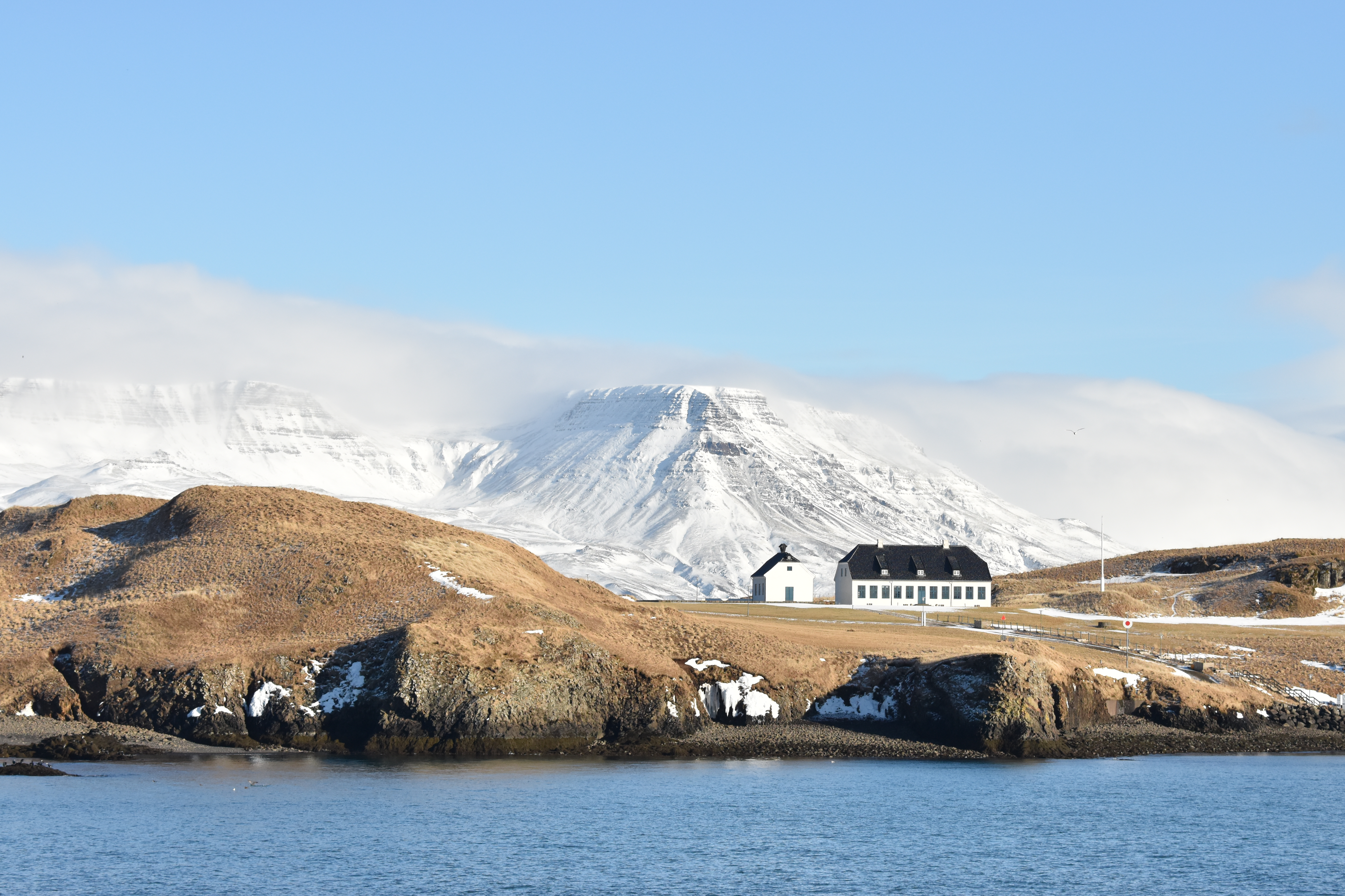 Reykjavík Whale Watching & Viðey Island Day Escape - Epanoui Travel