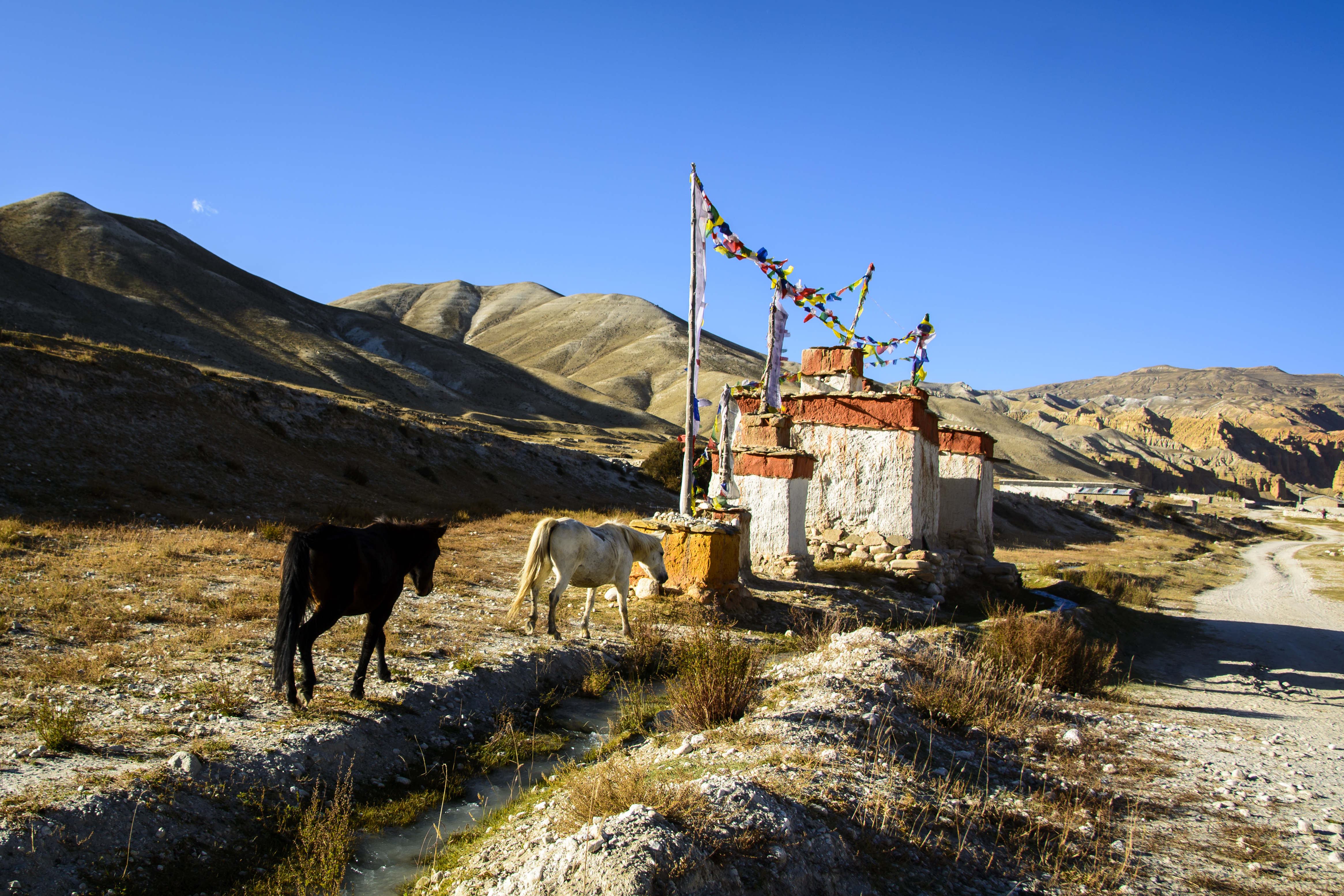 8 Days – Jomsom Muktinath Motor Biking Tour, Nepal - Epanoui Travel