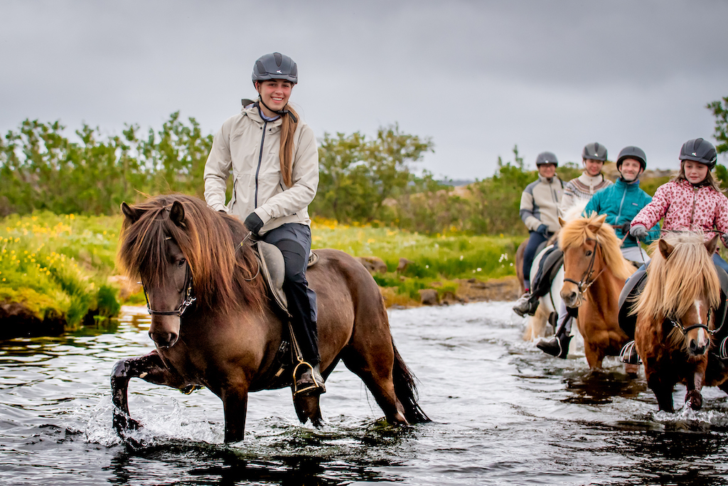 Viking Horses Morning Tour - view 3