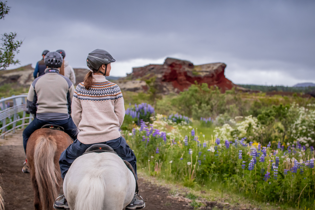 Viking Horses Morning Tour - view 4