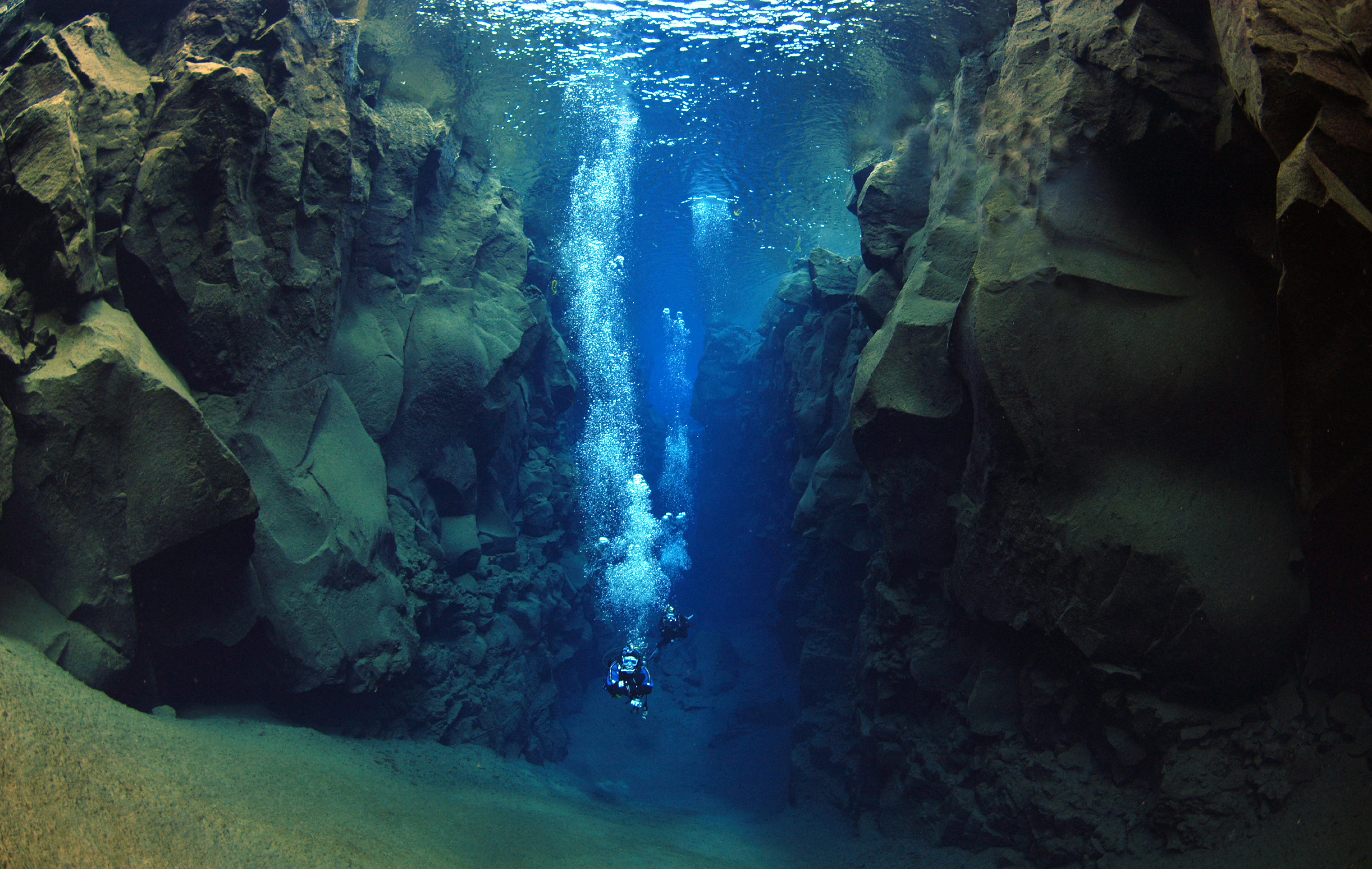 Reykjavík Whales & Diving - view 3