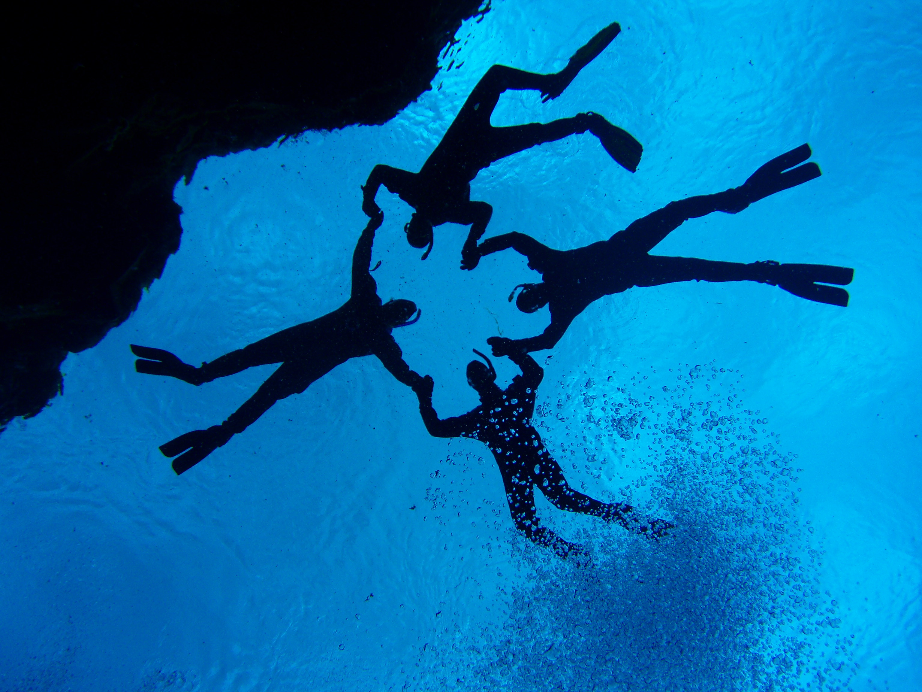 Reykjavík Whales & Snorkeling - view 5
