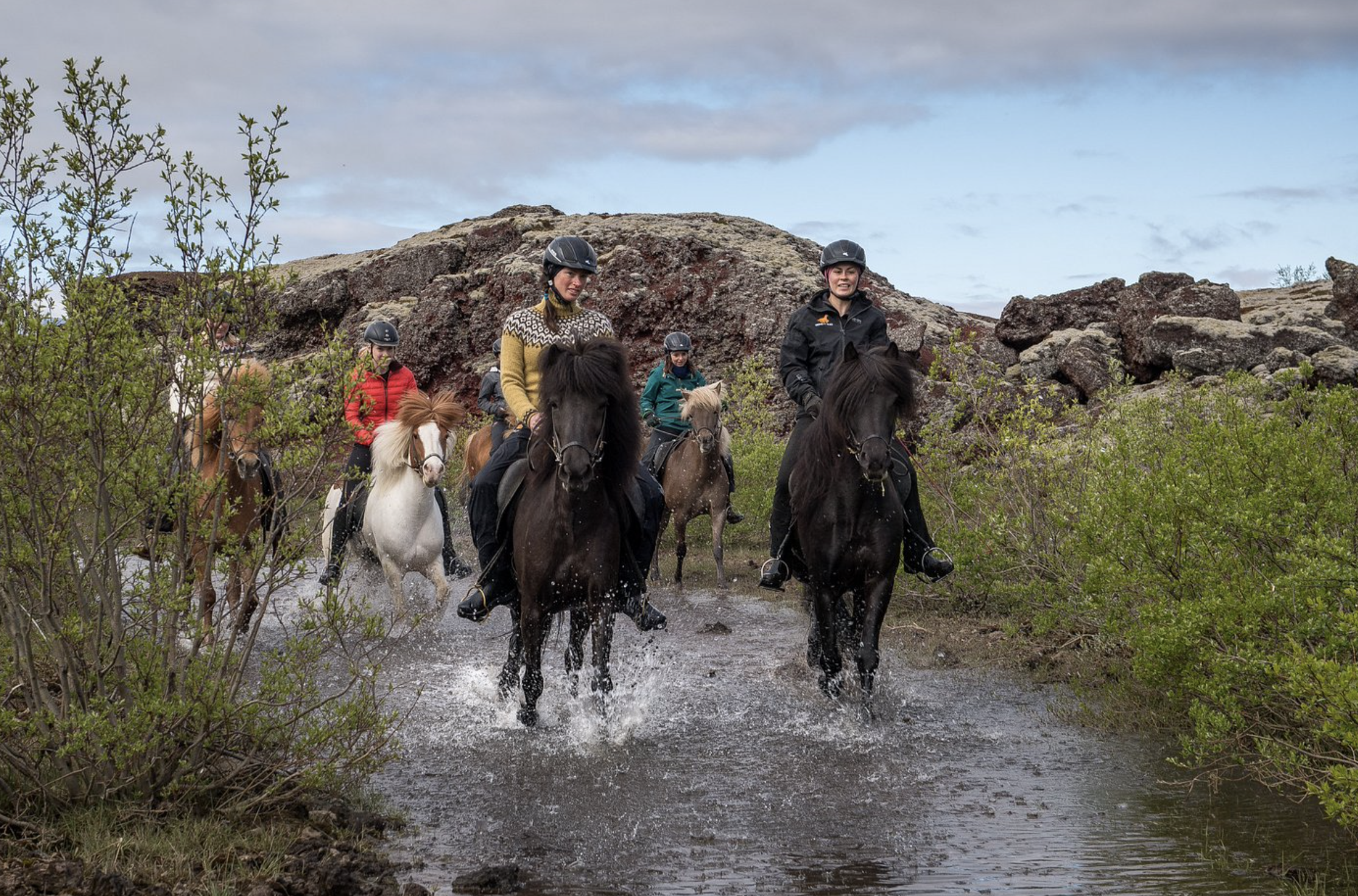 Viking Horses Mjölnir Afternoon Tour - view 2