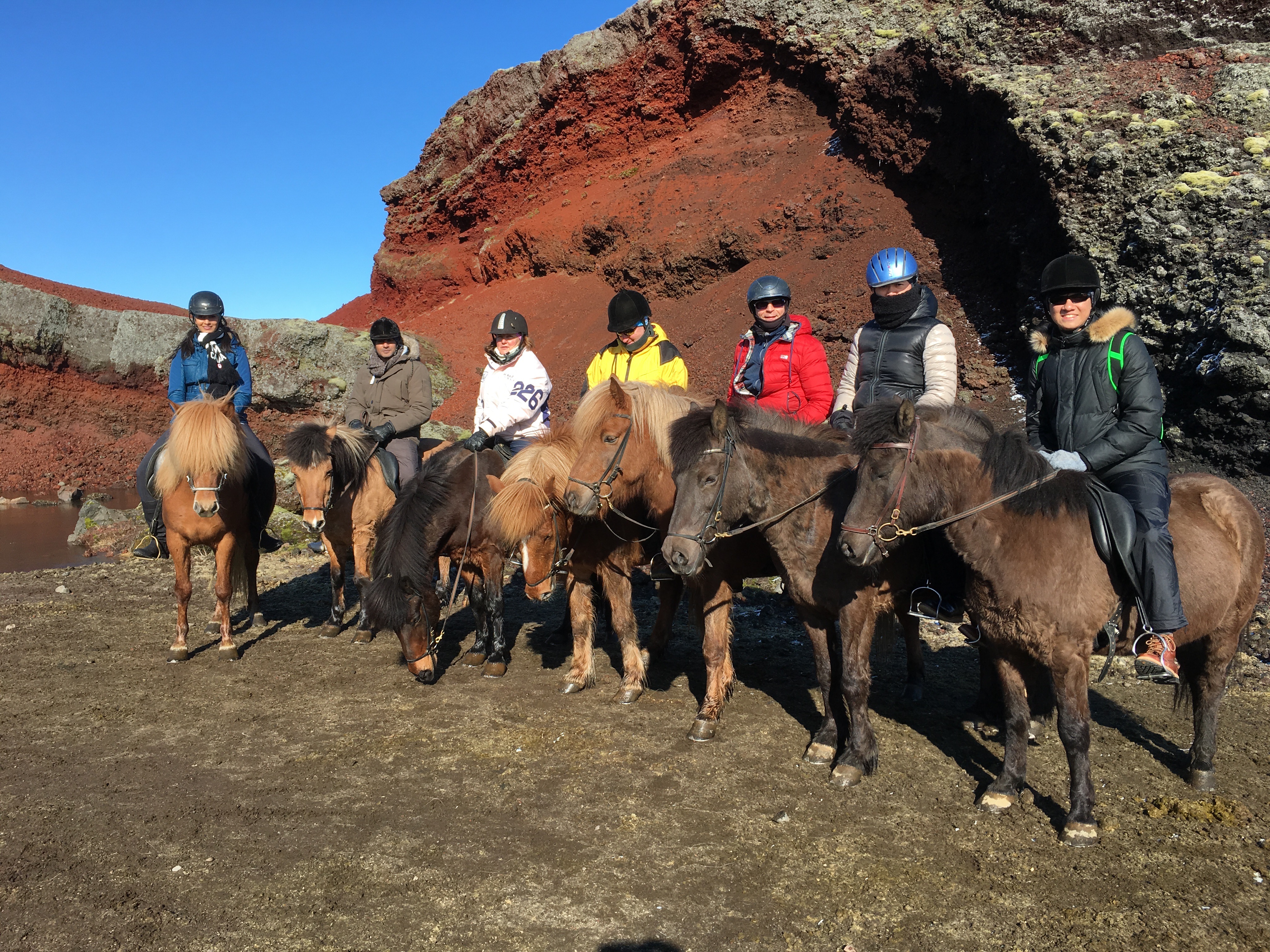 Viking Horses Mjölnir Afternoon Tour - view 5