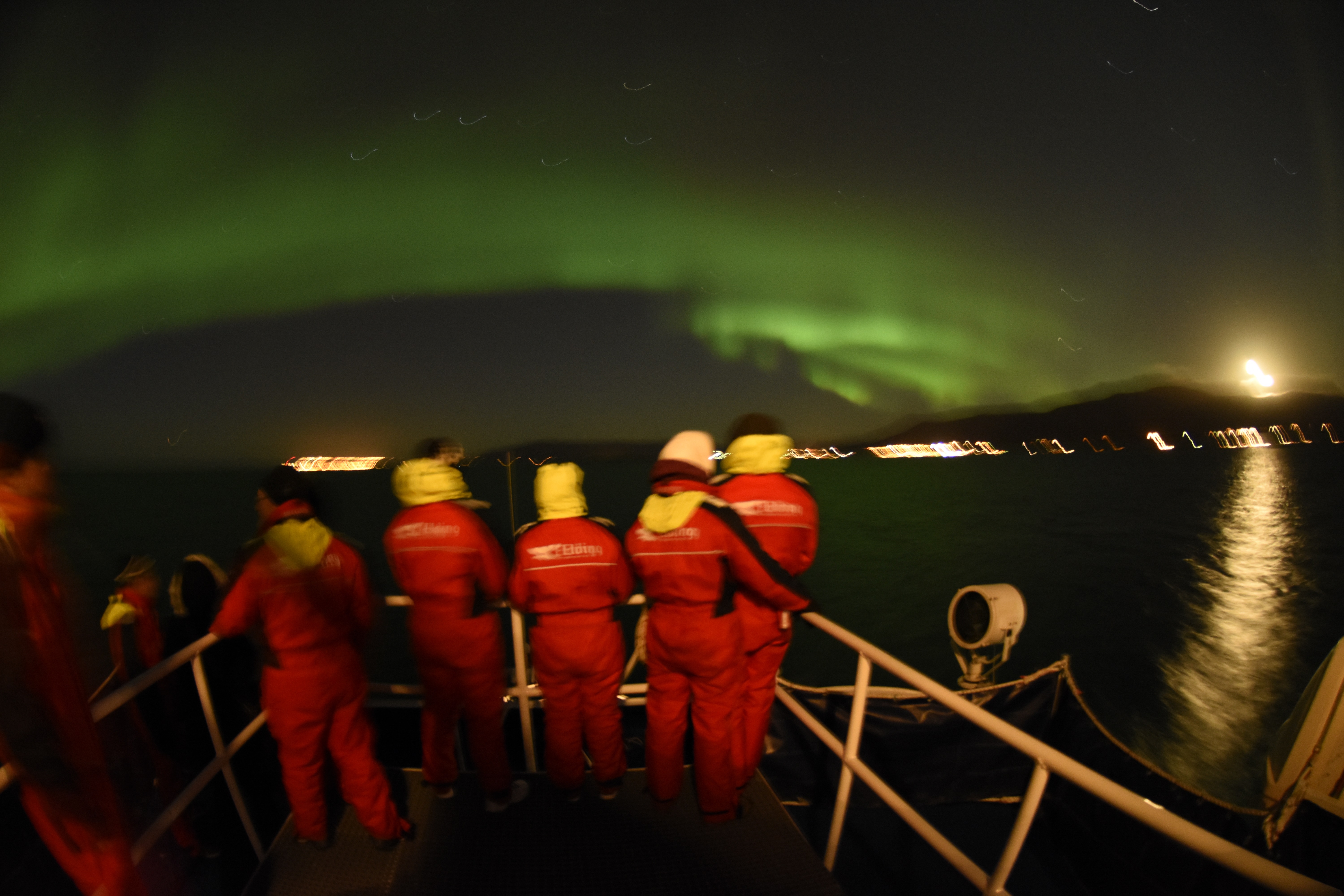 Reykjavík Northern Lights Cruise including pickup - view 4