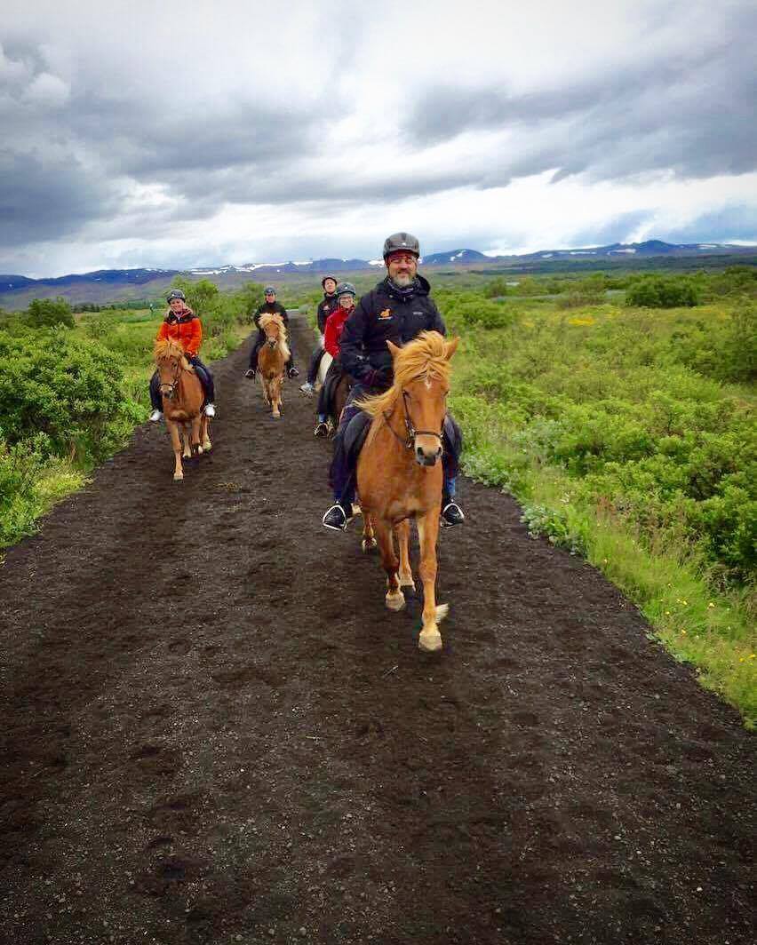 Viking Horses Sleipnir Evening Tour - view 3