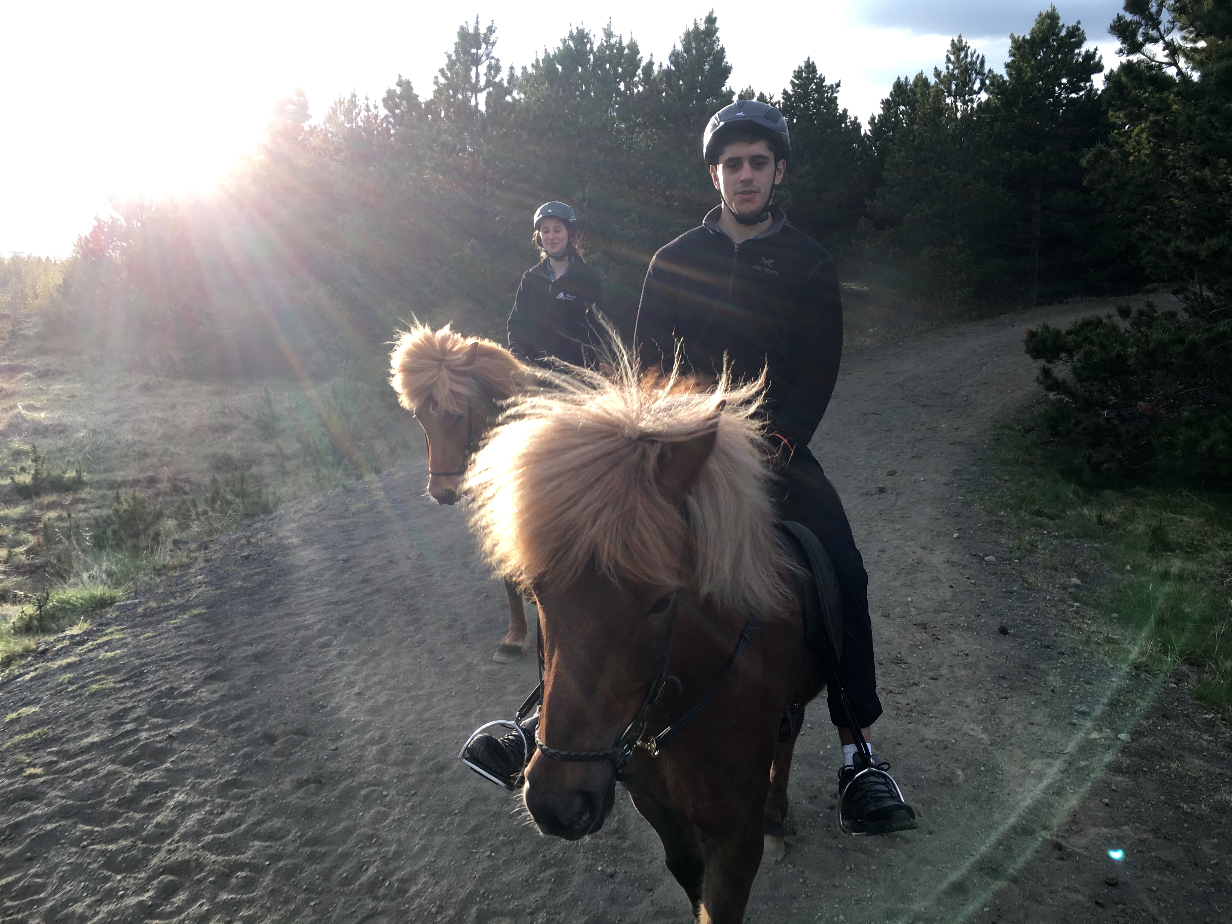 Viking Horses Sleipnir Evening Tour - view 5