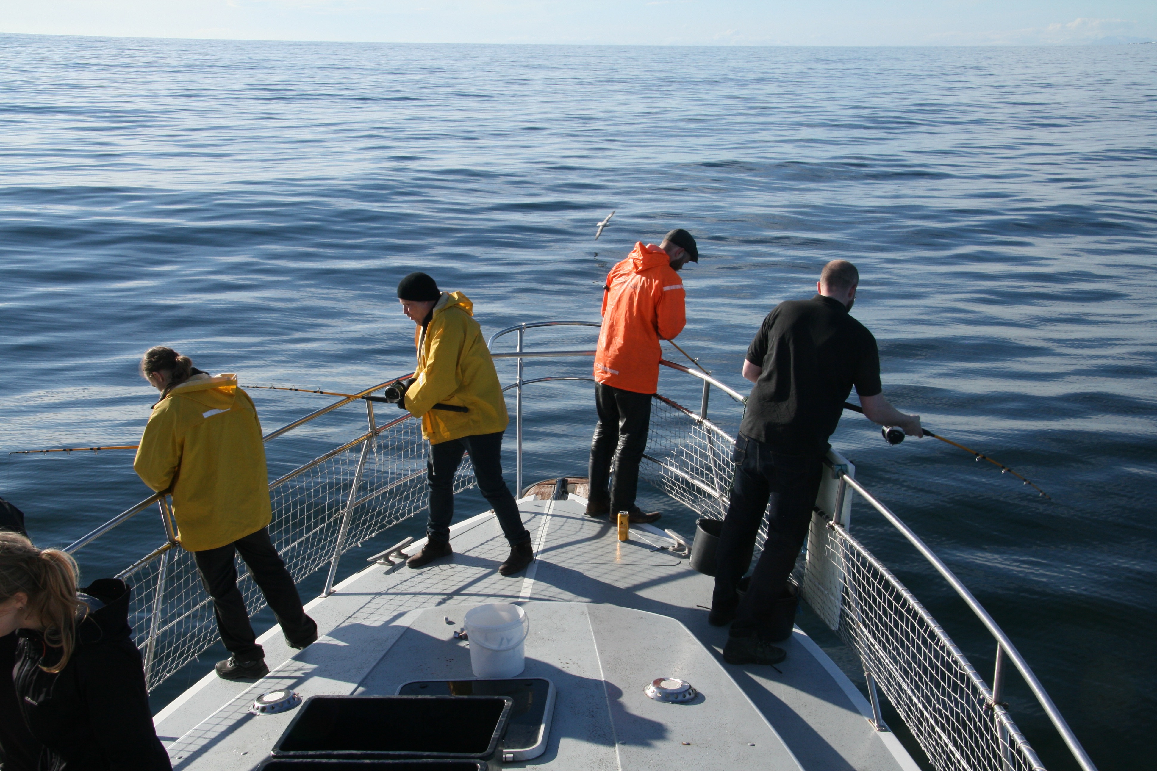 Reykjavík Sea Angling Gourmet - view 5