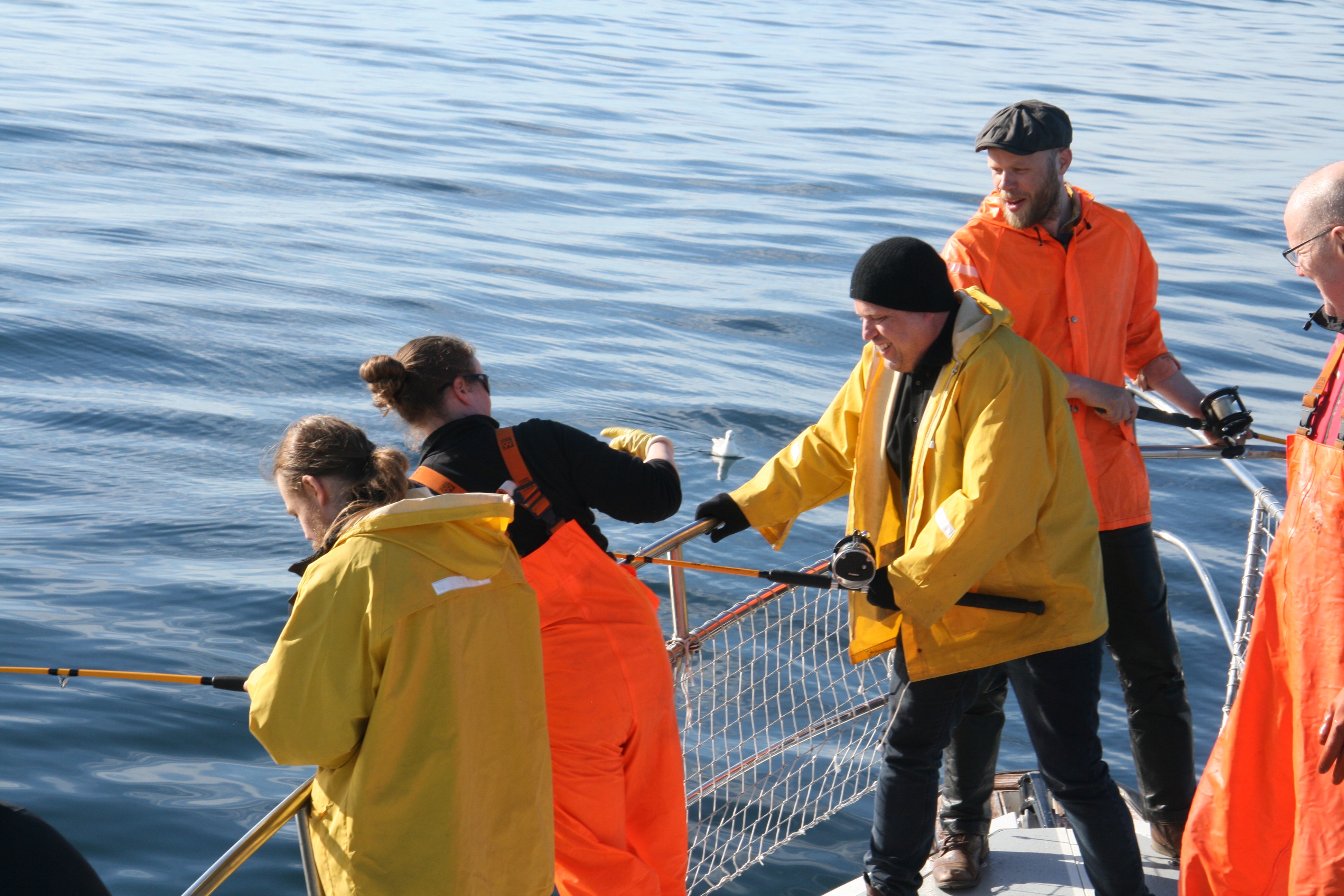 Reykjavík Sea Angling Gourmet - view 2