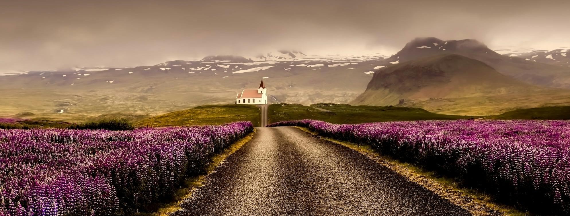 Iceland Solar Eclipse 2026 – Snæfellsnes Experience with Home-Cooked Dinner by Minibus - view 3
