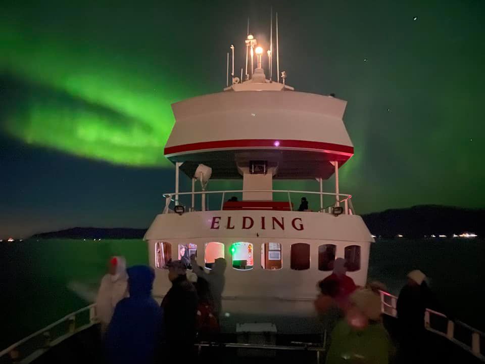 Reykjavík Northern Lights & City Cruise - main view in Reykjavík