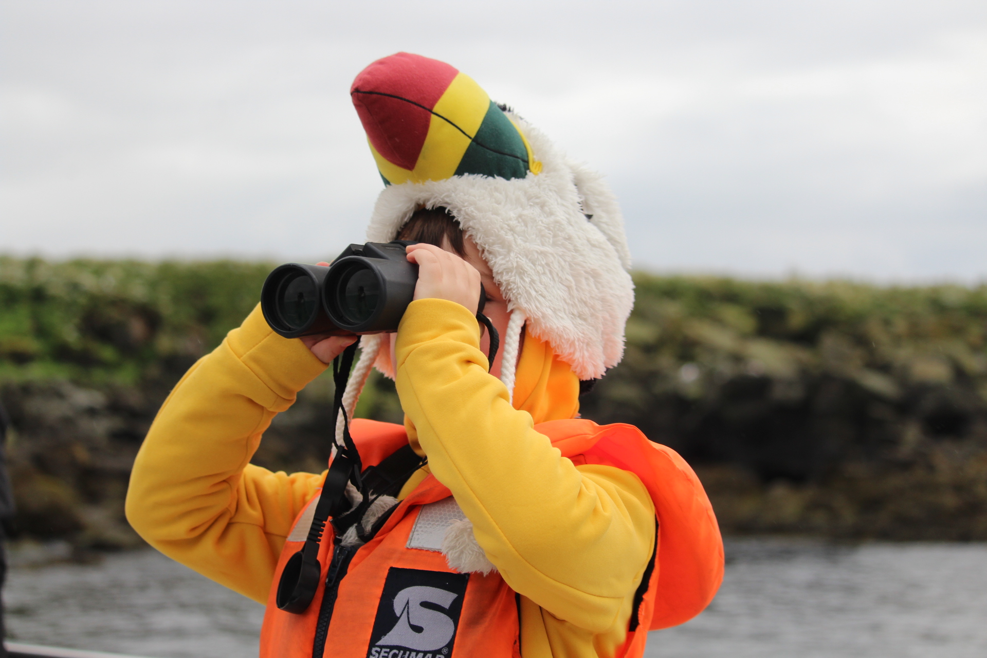 Reykjavík Classic Puffin Watching - view 3