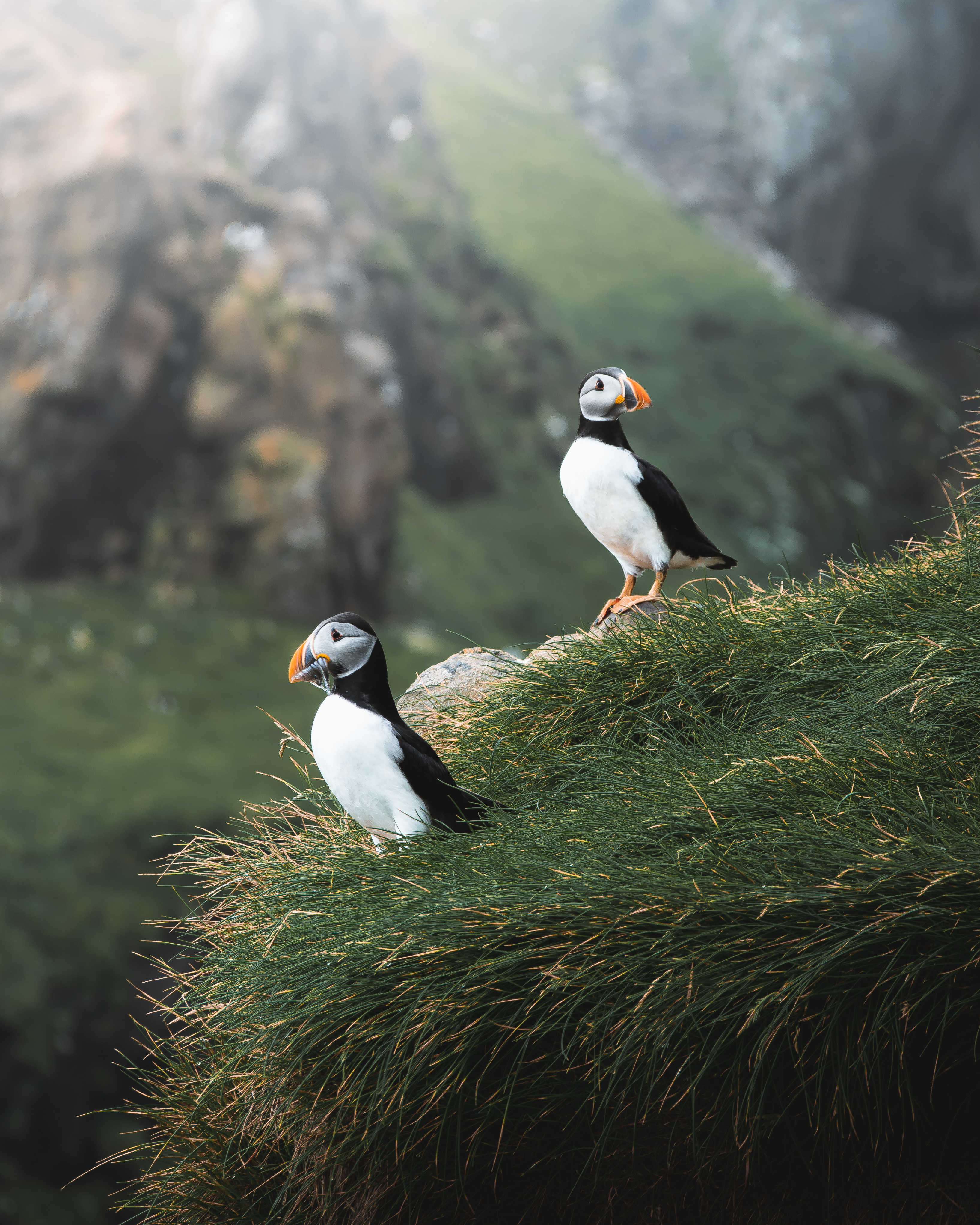 Hiking & Sailing in the Faroe Islands - view 5