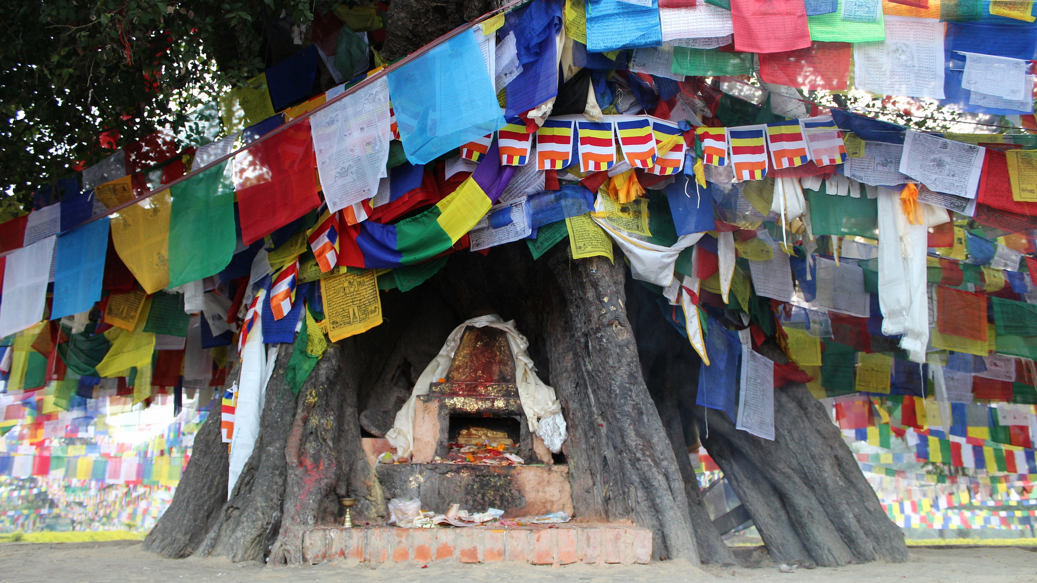 Spiritual Journey to Lumbini – 8 Days of Peace, Pilgrimage & Mindfulness - view 4